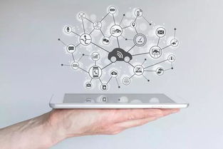 數(shù)字營銷革命引領中國制造邁向中國品牌租賃服務